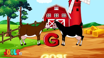 G Is For Goat