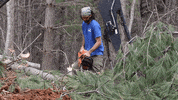 Chris Burns Chainsaw GIF by JC Property Professionals