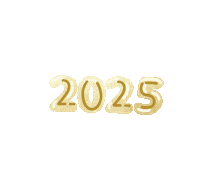 Happy New Year Firework Sticker by studiosinn