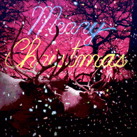 Photo gif. Two reindeer stand outside next to each other  as it snows at sunset. The reindeers wiggle a bit. Text, “Merry Christmas.”