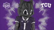 College Sports Mascots GIF by College Colors Day