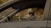 fox tv help GIF by 9-1-1 on FOX