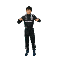 Formula One Sticker Sticker by Mercedes-AMG Petronas Formula One Team