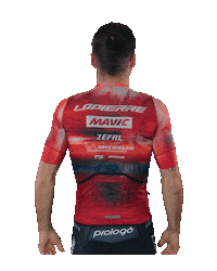 Bike Sticker by Lapierre Mavic Unity