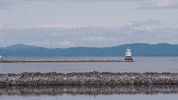 California Lighthouse GIF by Middlebury
