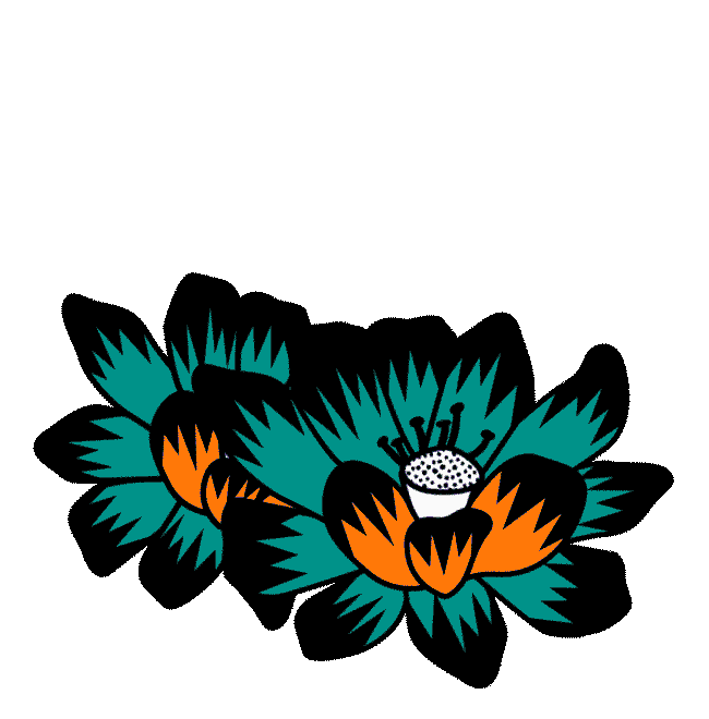 Fun Wave Sticker by Fanatic Watersports