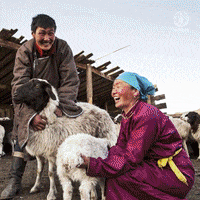 United Nations GIF by FAO
