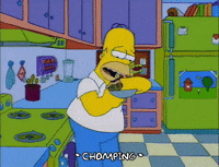 homer simpson GIF