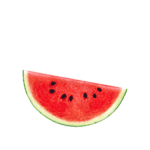 TrulyCan_ giphyupload watermelon hard seltzer truly Sticker