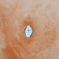GIF by pablodelfini