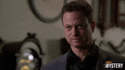 New York Drama GIF by ION Mystery