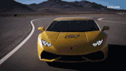 viceland GIF by MOST EXPENSIVEST