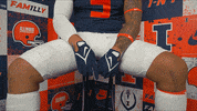 Illinois Football GIF by Fighting Illini Athletics