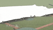 philladelphia phillies GIF by MLB
