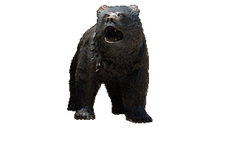 Bruin Bear Jess Sticker by UCLA