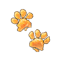 thepaddingtonbearexperience paddingtonbear paddington bear london the paddington bear experience london the paddington bear experience Sticker