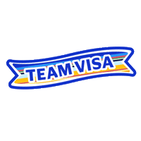 Teamvisa Sticker by Visa
