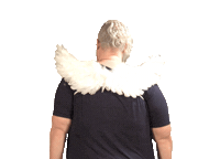 Angelwings Sticker by BHHSTDHP