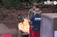 imacelebrityau GIF by I'm A Celebrity... Get Me Out Of Here! Australia