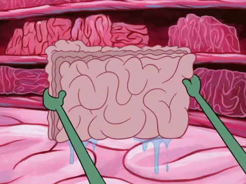 season 7 episode 3 GIF by SpongeBob SquarePants