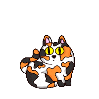Cat Love Sticker