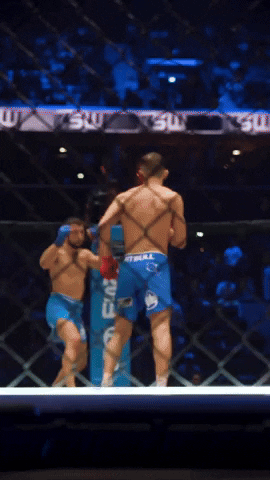French Ufc GIF by Old School Academy