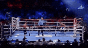 toprank fight boxing fighting espn GIF