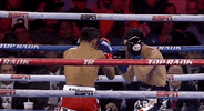toprank boxing fighting espn fighters GIF