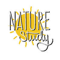 Rainbow Stars Sticker by The Waldock Way