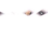 Futbol Parra Sticker by Racing de Veracruz