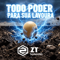 Agro Soja GIF by ZT Sementes