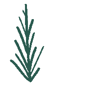 Vegan Leaves Sticker by Tuğçe Çeğil