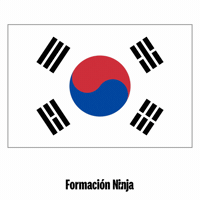 South Korea Flag GIF by Formación Ninja