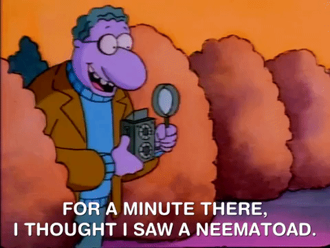 nicksplat doug GIF