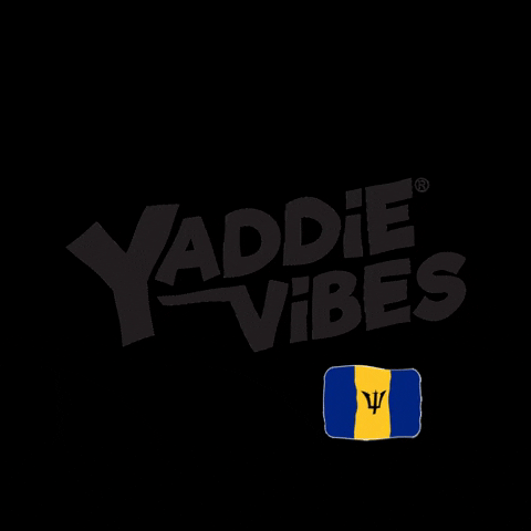 Vibes Rihanna GIF by yaddievibes
