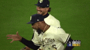 Minnesota Twins Sport GIF by MLB