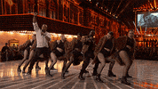 leonardo dicaprio GIF by mtv