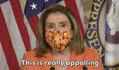 Nancy Pelosi GIF by GIPHY News