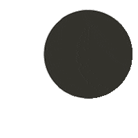 Sirius Black Wolf Sticker