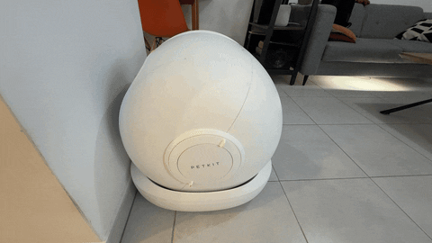 pirmax giphyupload petkit pura max petkit pura max GIF