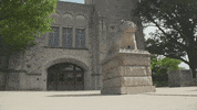 Happy On My Way GIF by Butler University