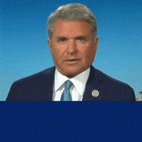 TeamMikeSiegel tx10 mccaul siegelfortexas mikesiegel GIF