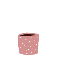 Plant Growing Sticker