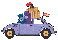 Car Sticker