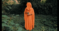 GIF by Partisan Records