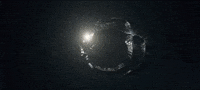 Live Action Dragons GIF by How To Train Your Dragon