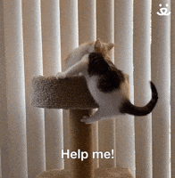 Help Me!