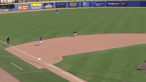 Blue Jays Mlb GIF by Toronto Blue Jays
