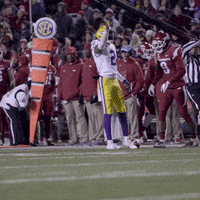 College Sports Sport GIF by LSU Tigers