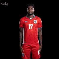 Fifa World Cup Panama GIF by Respective